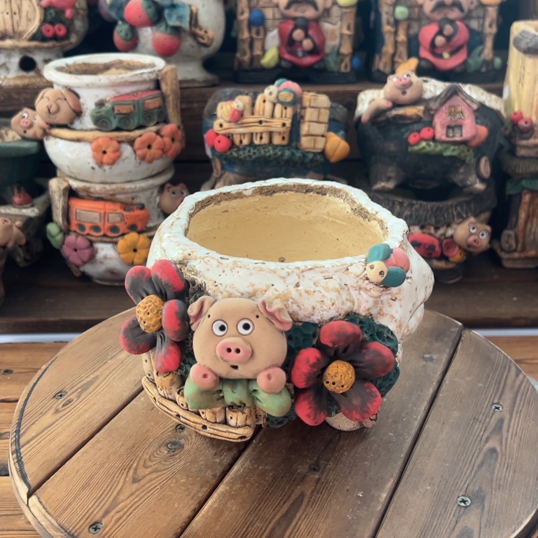 红陶嘻哈多肉花盆