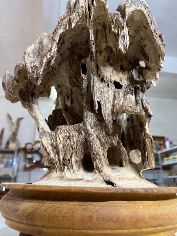 海南大山鸡母虫树头淳化老摆件