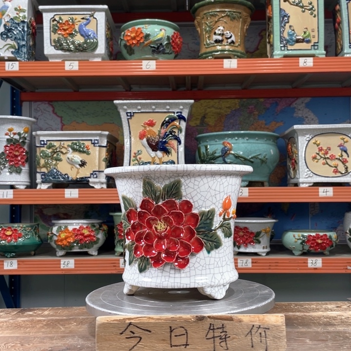 青***蛋1开播特价。          