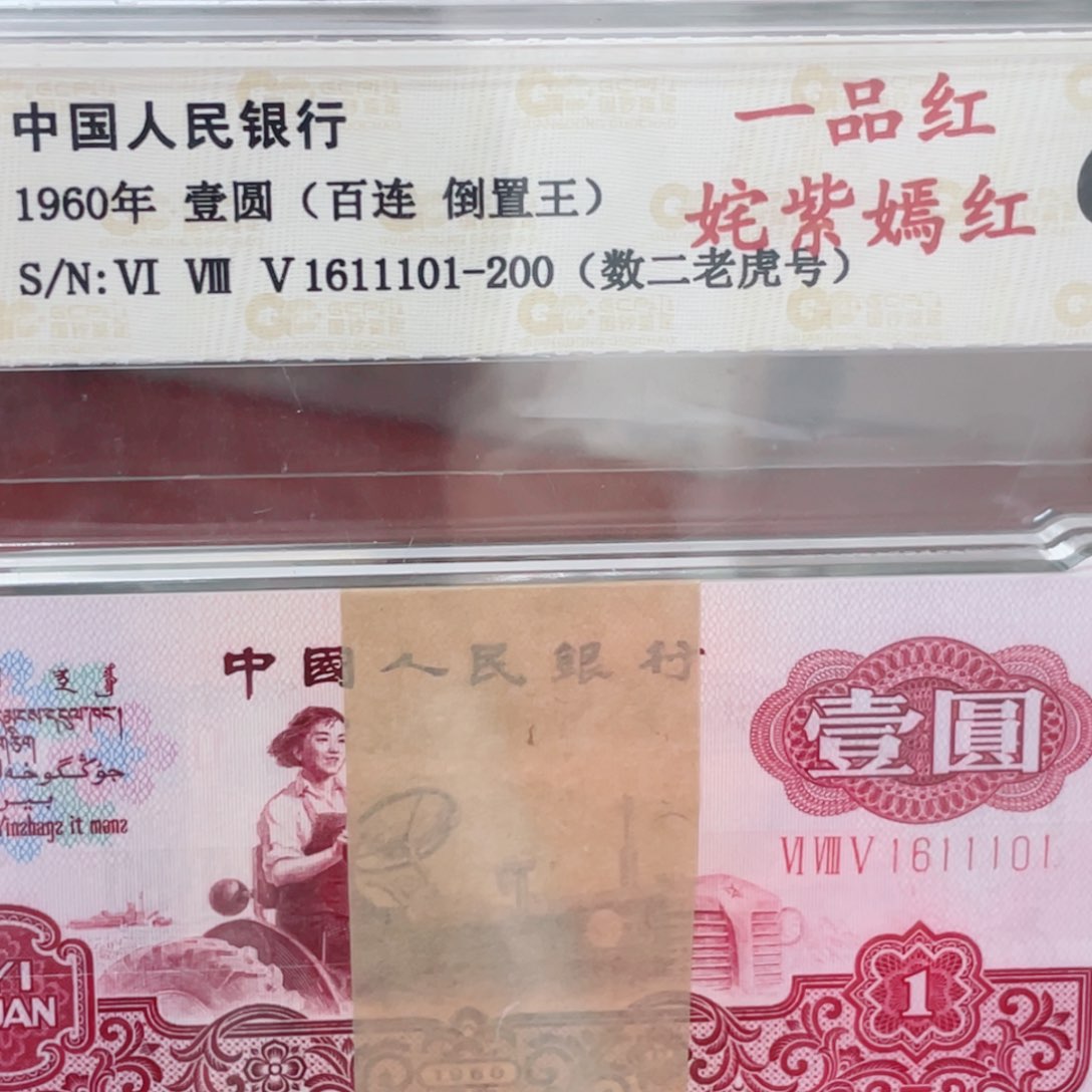 一品红姹紫嫣红倒置刀含老虎尾1611101
