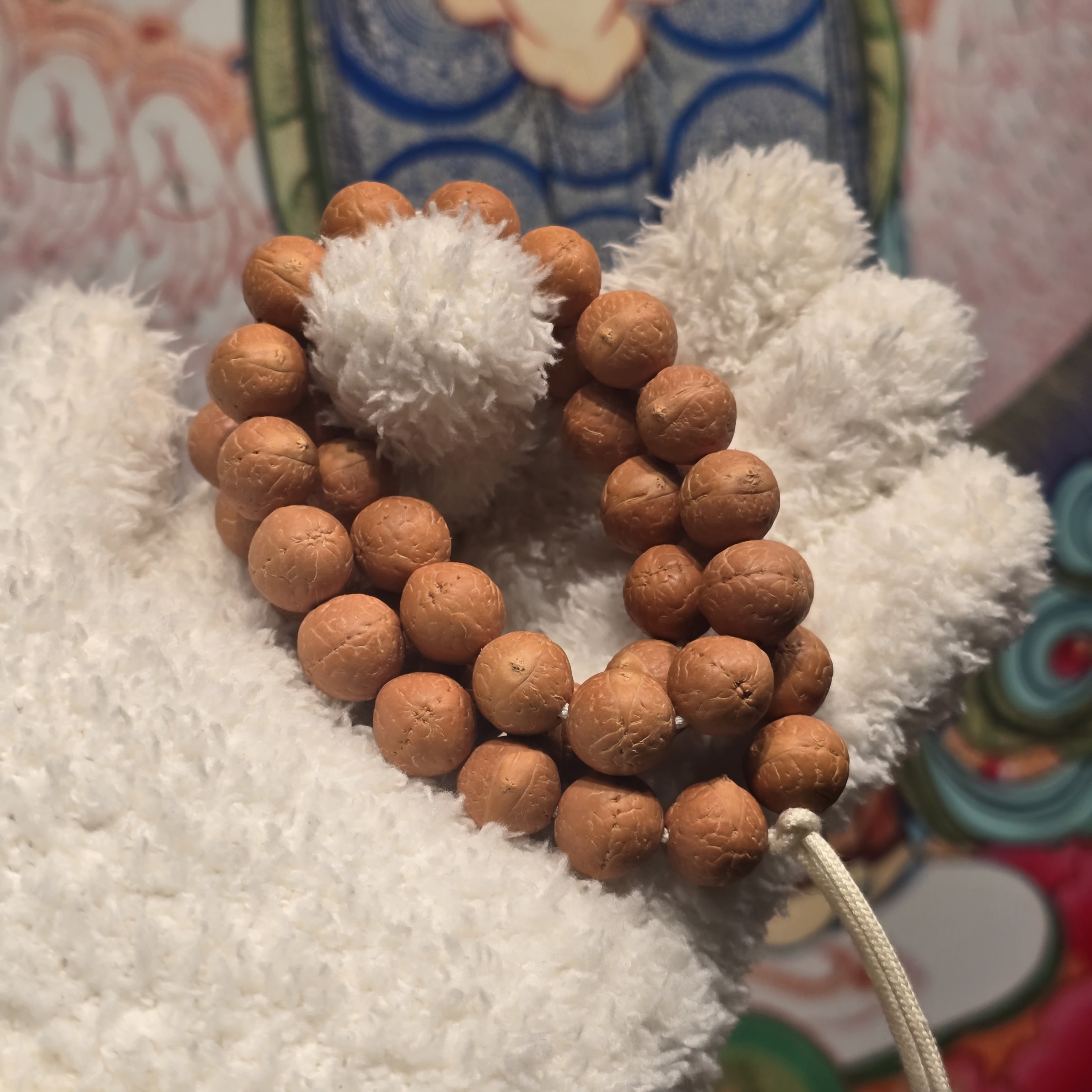 尼泊尔凤眼菩提—朝阳子橘子系列sss—尺寸11.5