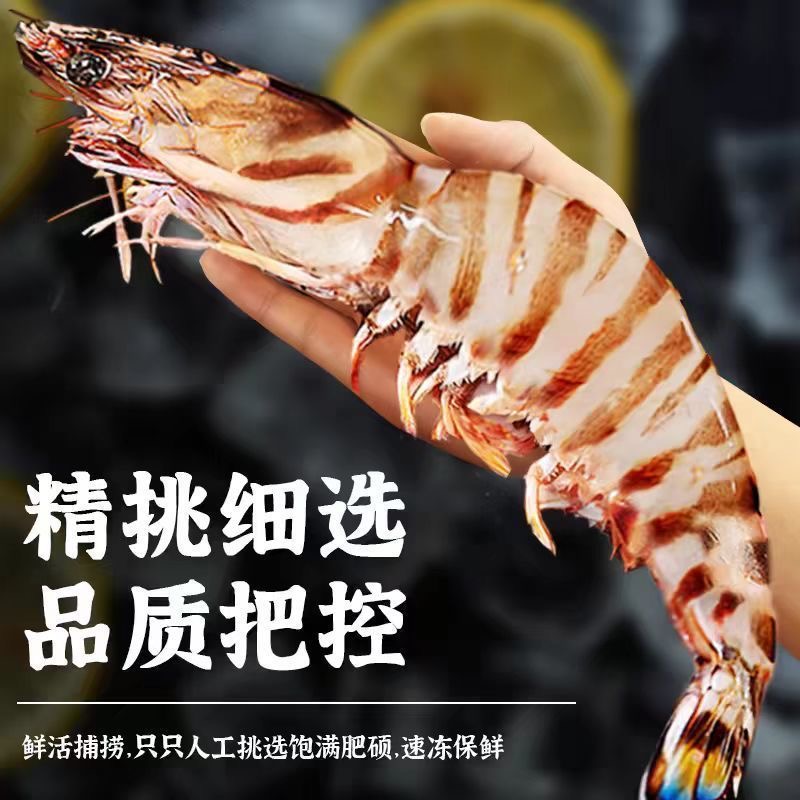 【鲜品福】送礼纯野生九节虾（6-8只/500g）舟山野生海捕船冻九节虾 