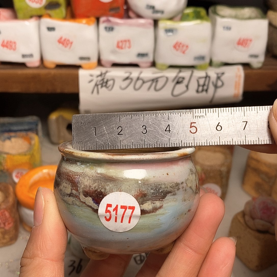 红陶拍5送一个小