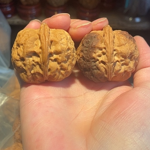 把件文玩核桃驼铃带彩修尖42