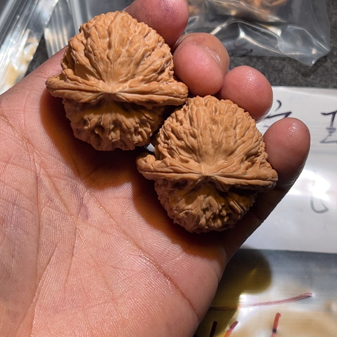 飞***啊吊坠文玩核桃白狮子