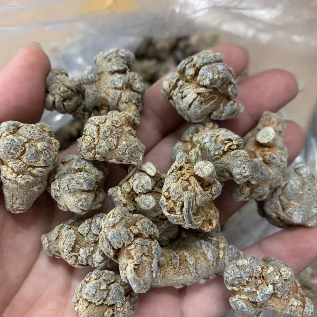 云南原粒田七 参250g