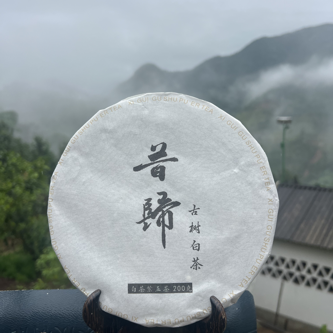 2025年昔归古树秋白茶紧压茶（手撕饼）