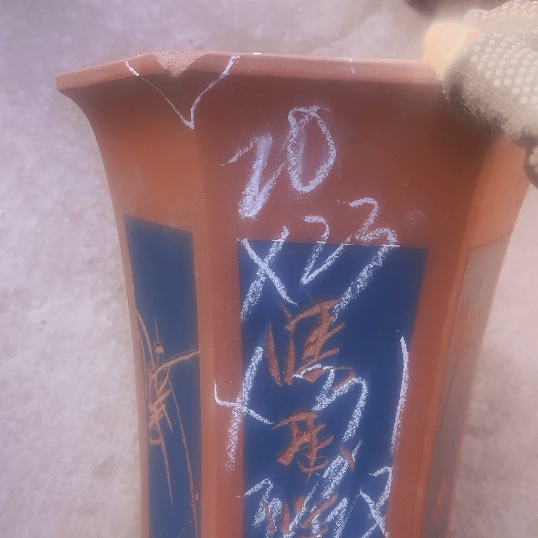 紫砂1号………………………………