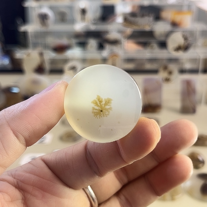 玛瑙/玉髓吊坠(不含链)未镶嵌