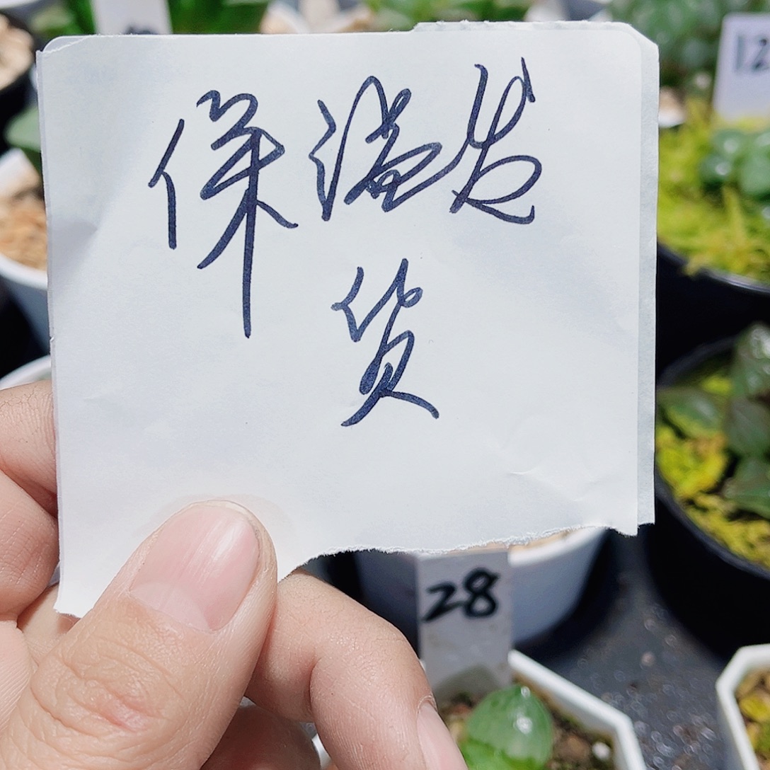 保温发货新手福利