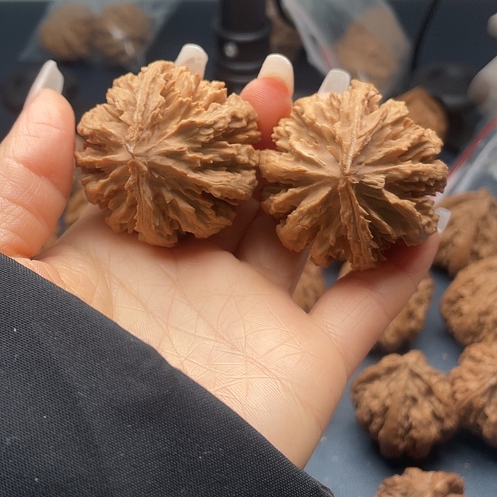 把件龙脊菩提秦岭核桃