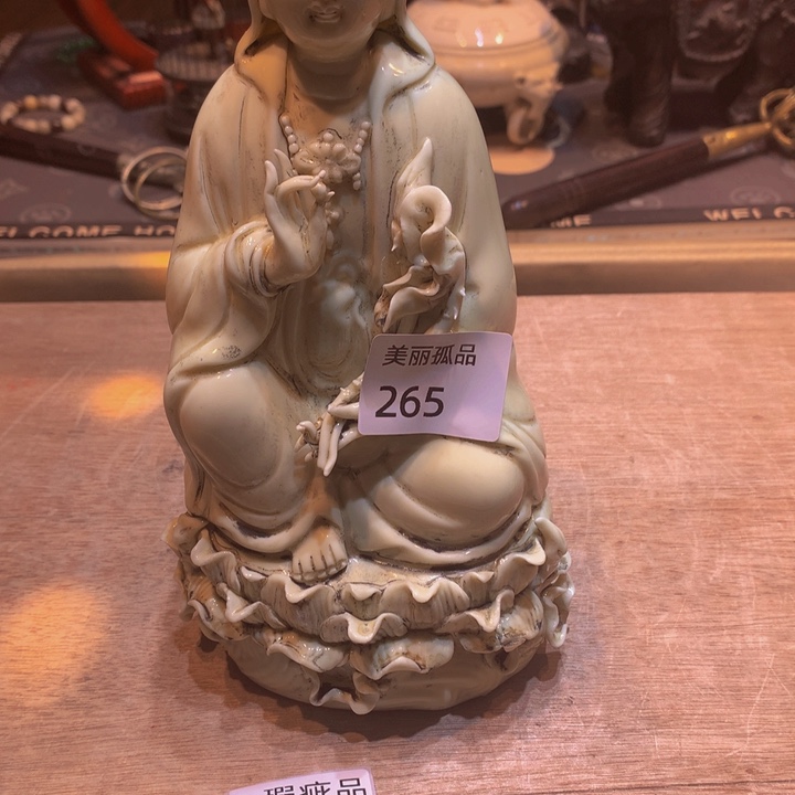 山**蛇孤品店的老板娘是我265