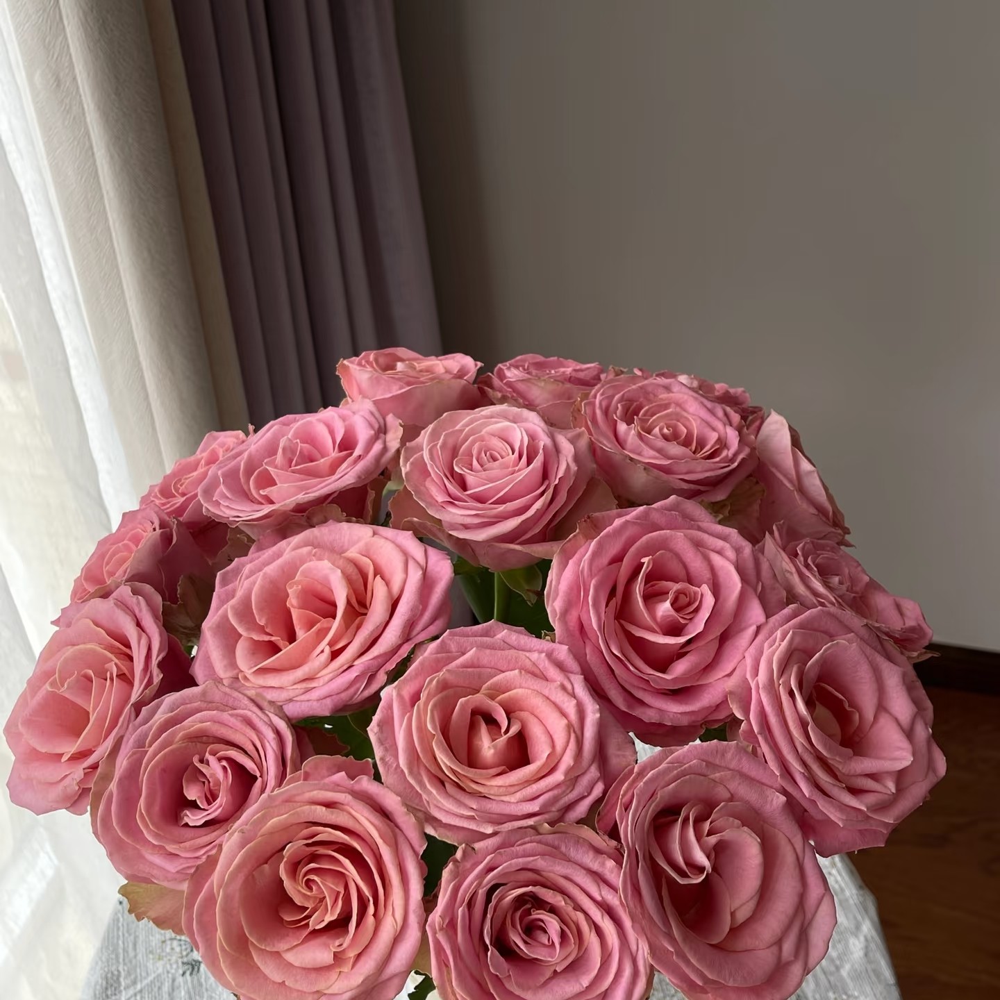 昆玉花卉稀有品种玫瑰赫莫莎，花瓣厚，花期长，家庭插花首选小众品
