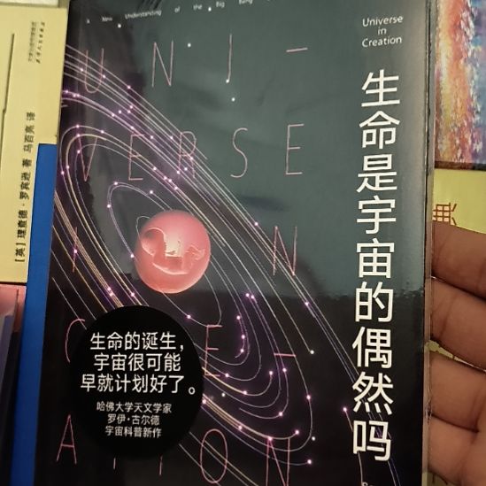生命是宇宙的偶然吗？