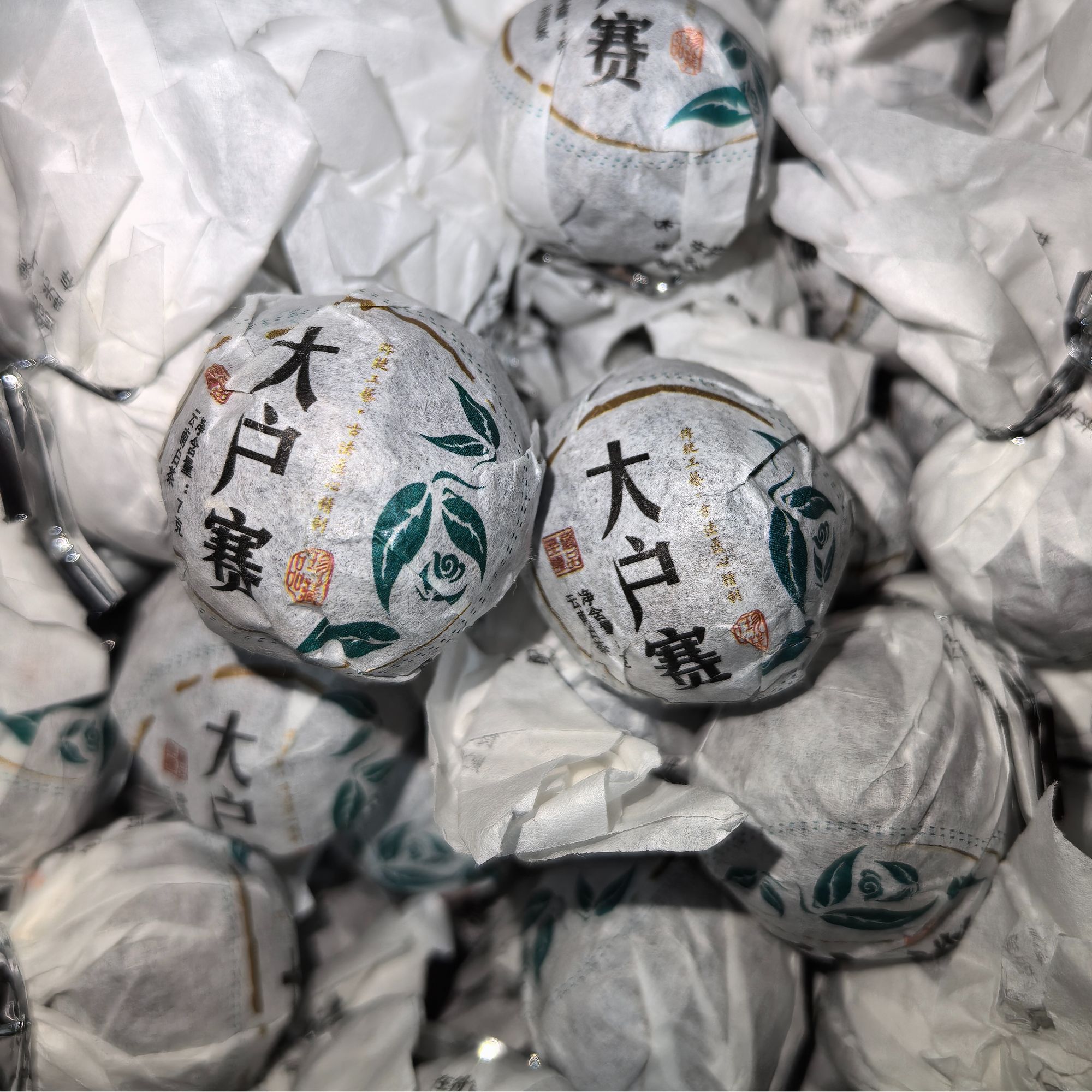 2024年大户赛白茶龙珠7g