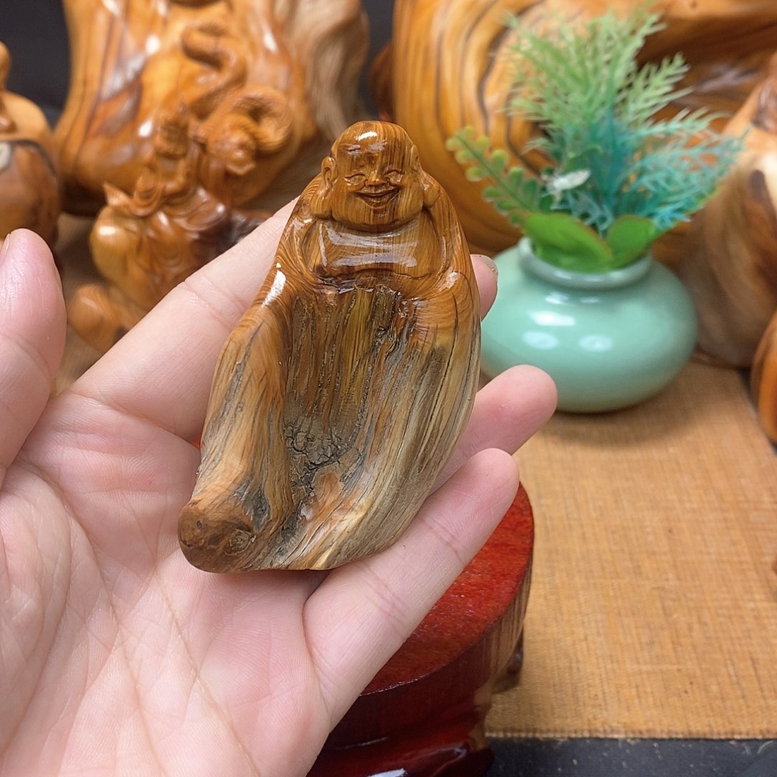 柏木（崖柏）一物一图