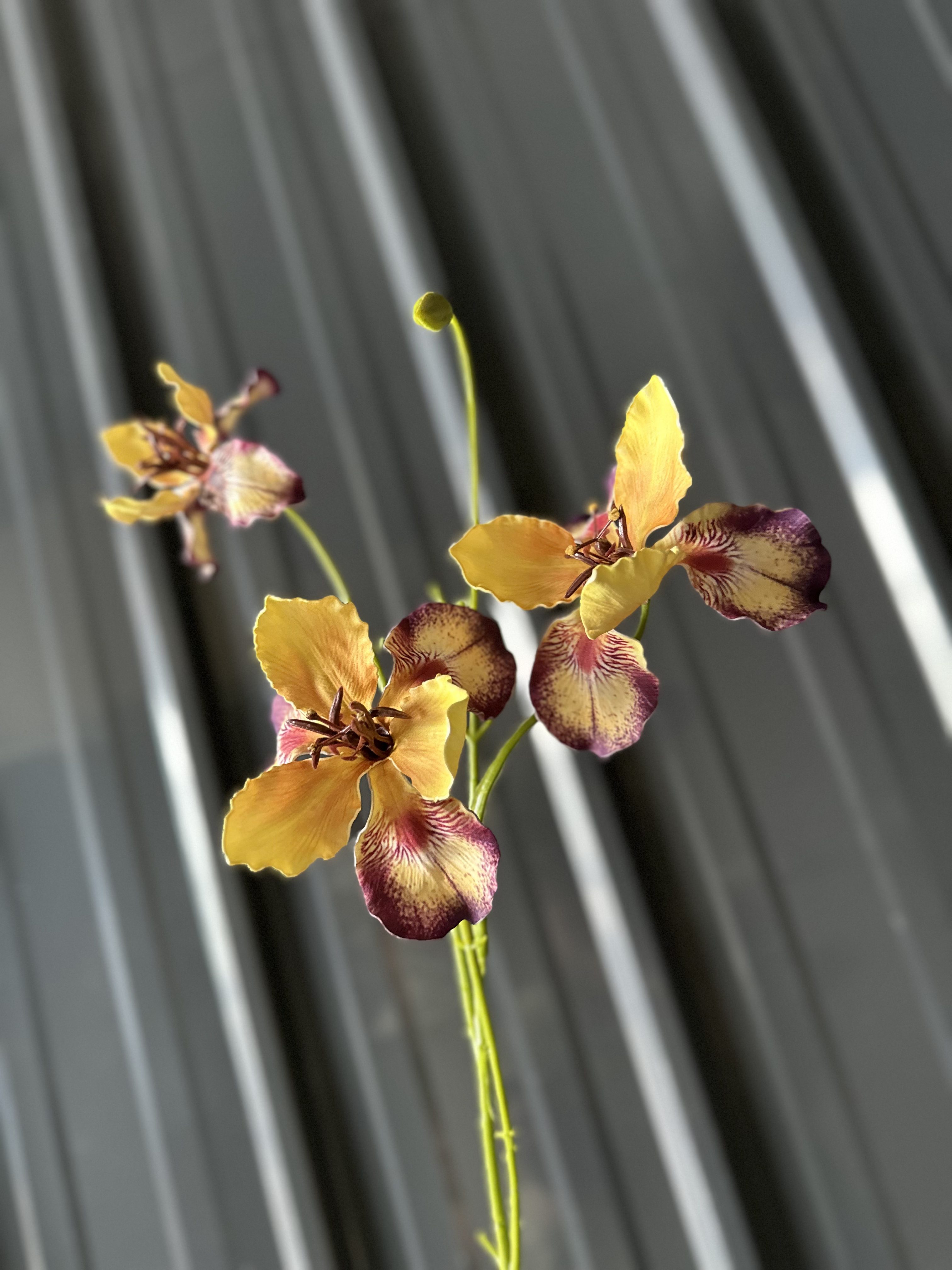 鸢尾兰3头不带叶高仿真莫奈风假花婚庆装饰