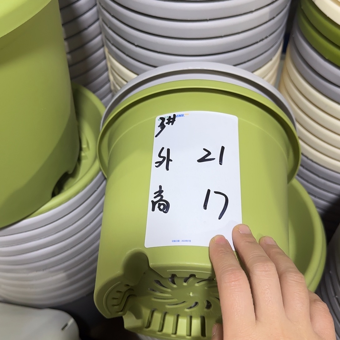 树脂四季3号带托5个果绿