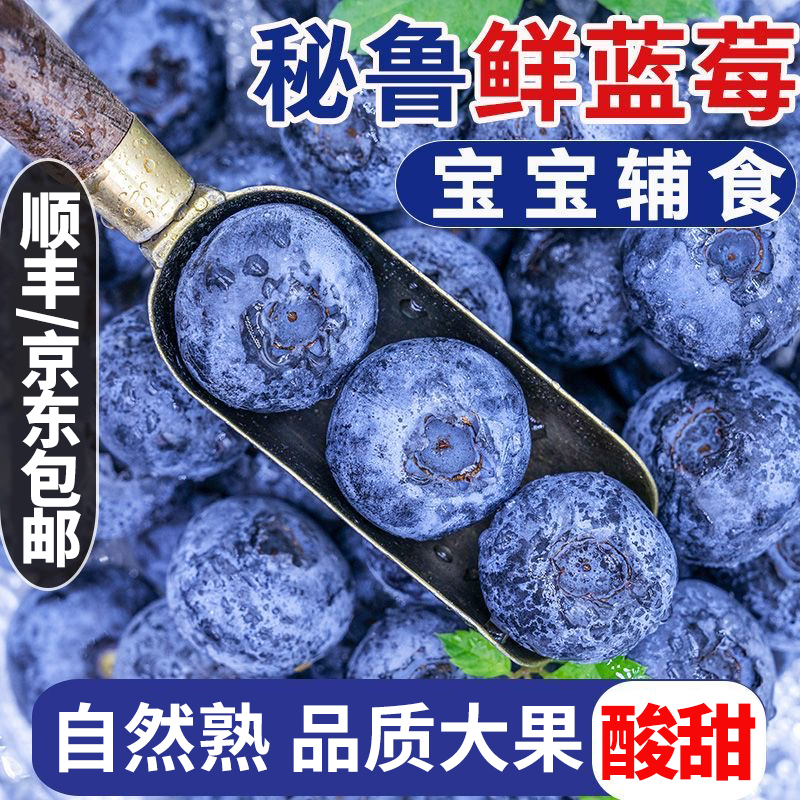 【本来果坊】秘鲁当季蓝莓4盒/6盒装 单果18mm+ 单盒125g