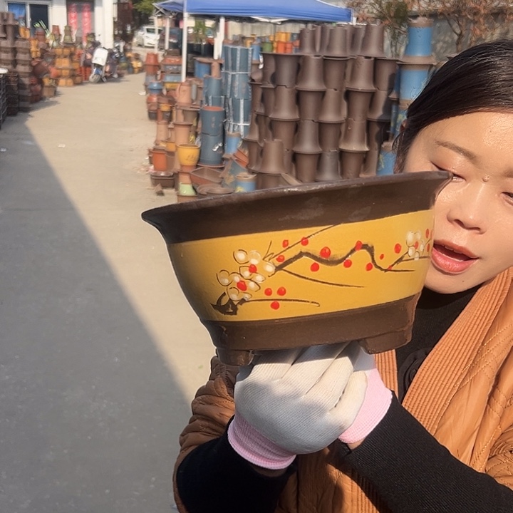 黄富贵点菜小一个花盆花盆