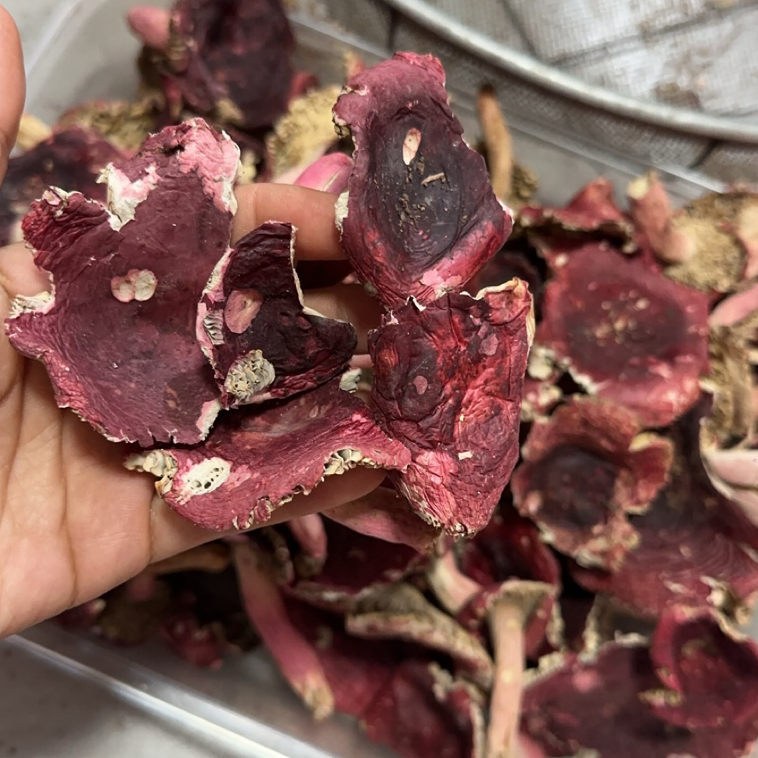 正宗三明宁化本地红菇菇脚菇叶➕掉级菇➕直播间改价链接