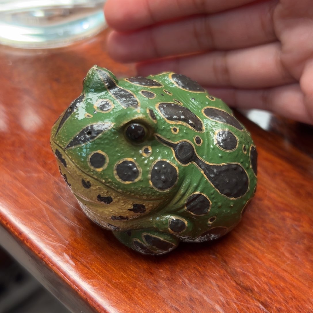 紫砂茶杯角蛙紫砂紫砂