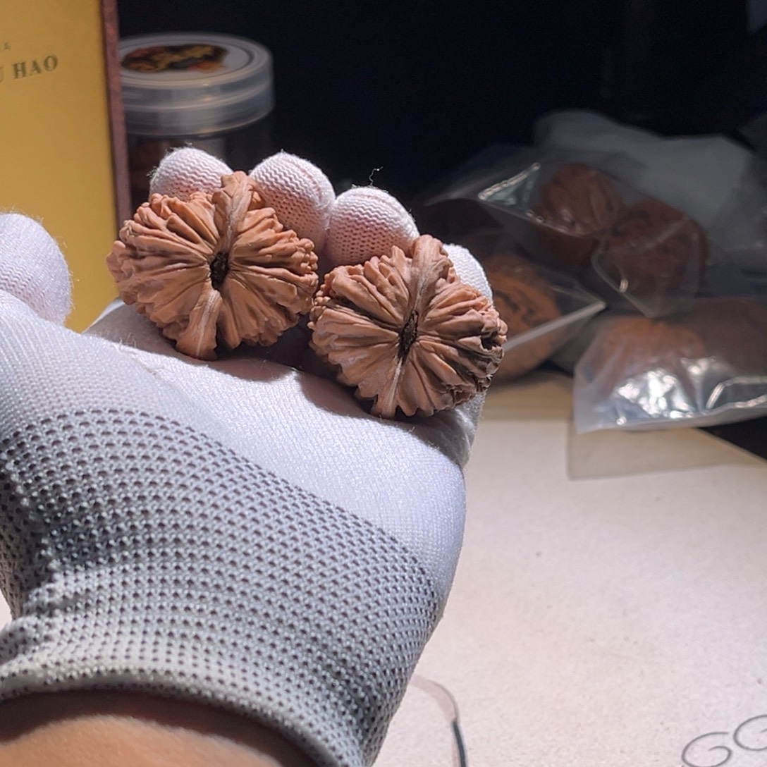 B***O楼子楼子楼子楼子 