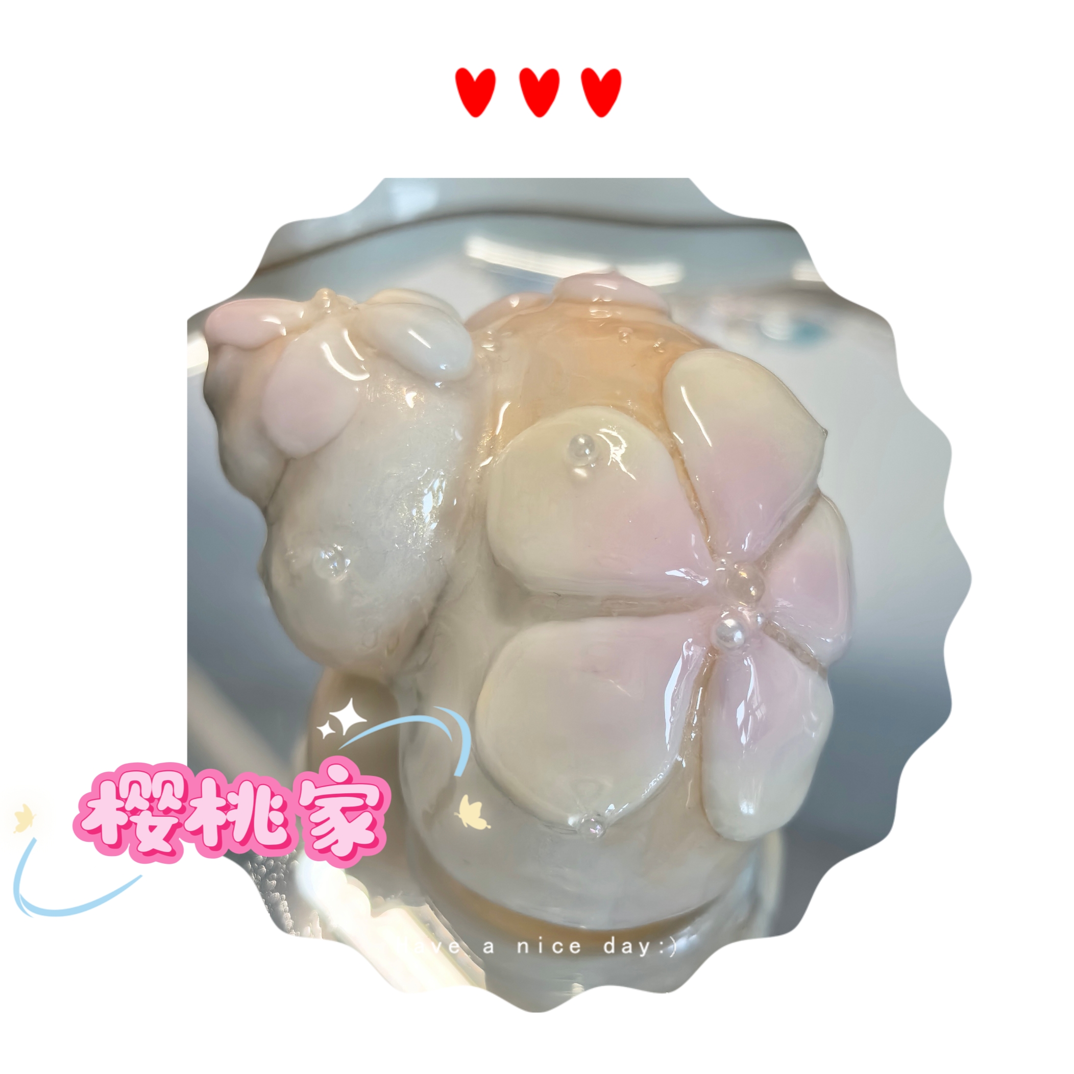 寄居蟹壳壳2.66口径（已封口）（±0.01-0.03）