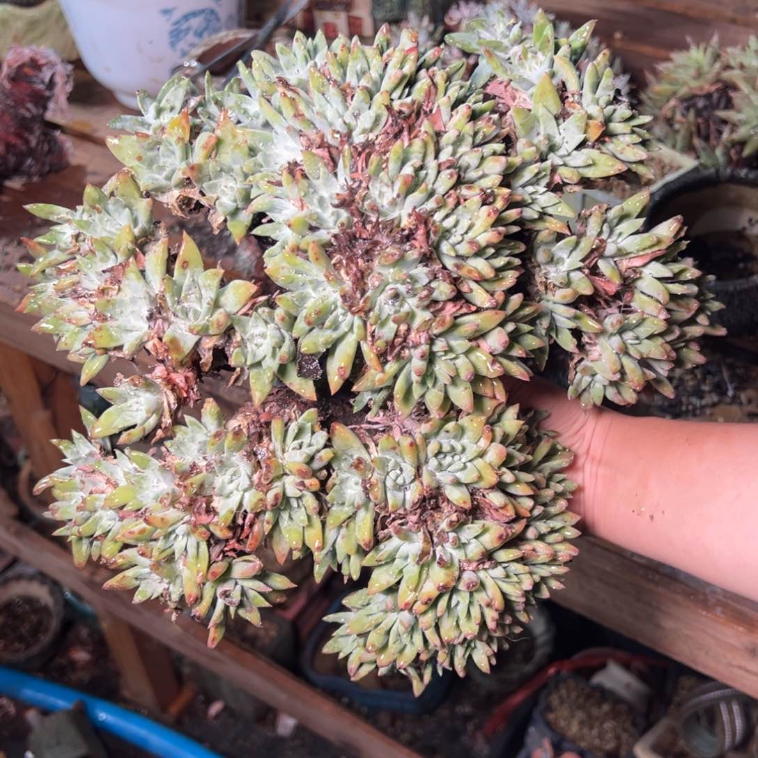 3704哈哈哈哈哈哈哈哈