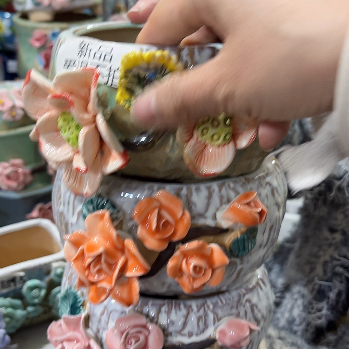 【闪购商品】红陶福利