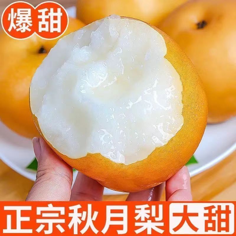 超甜秋月梨应季新鲜采摘水果5斤整箱蜜梨脆甜多汁