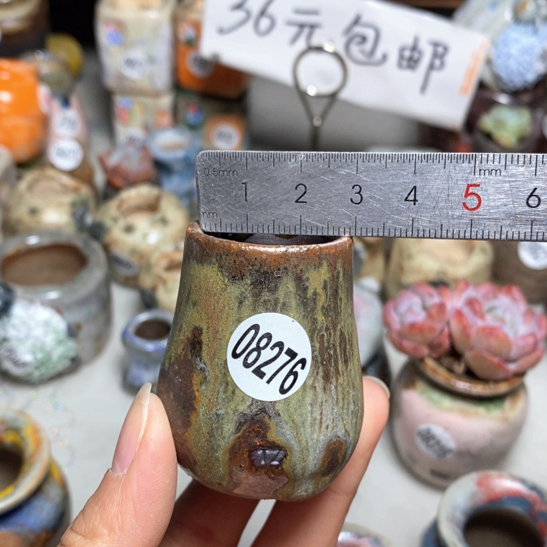 花盆拍5送一个小礼物