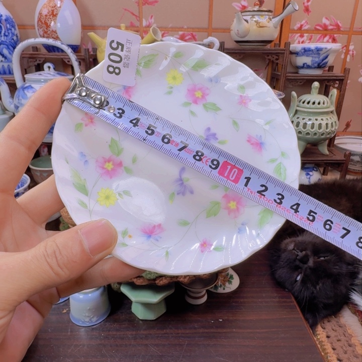 碗508啊啊啊啊啊啊啊啊啊啊啊啊