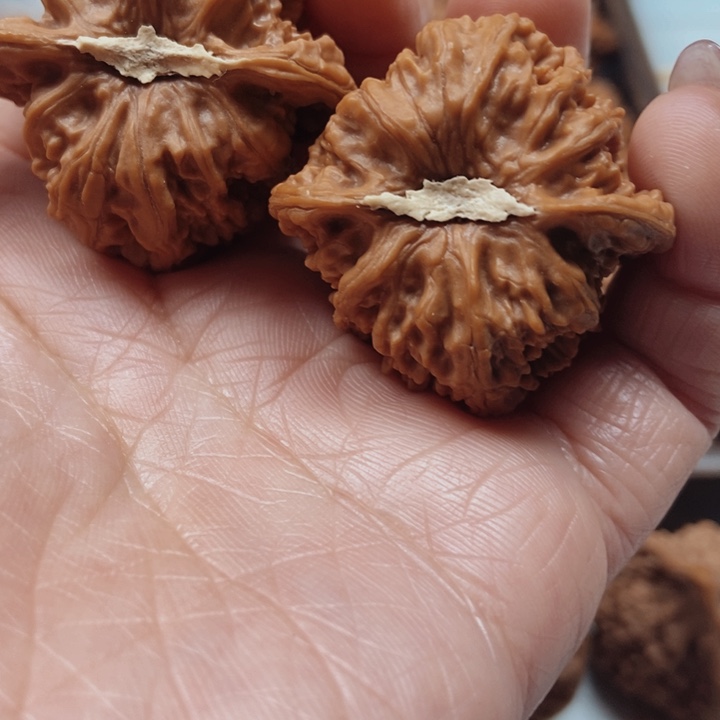 吊坠文玩核桃密纹