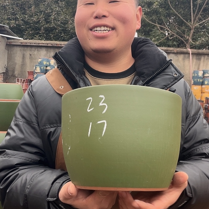 紫砂紫砂花盆盆栽