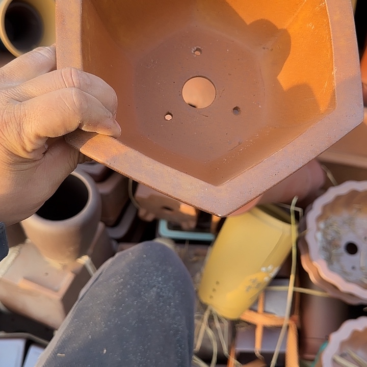 我想说我们也没见他说他有男朋友吗他