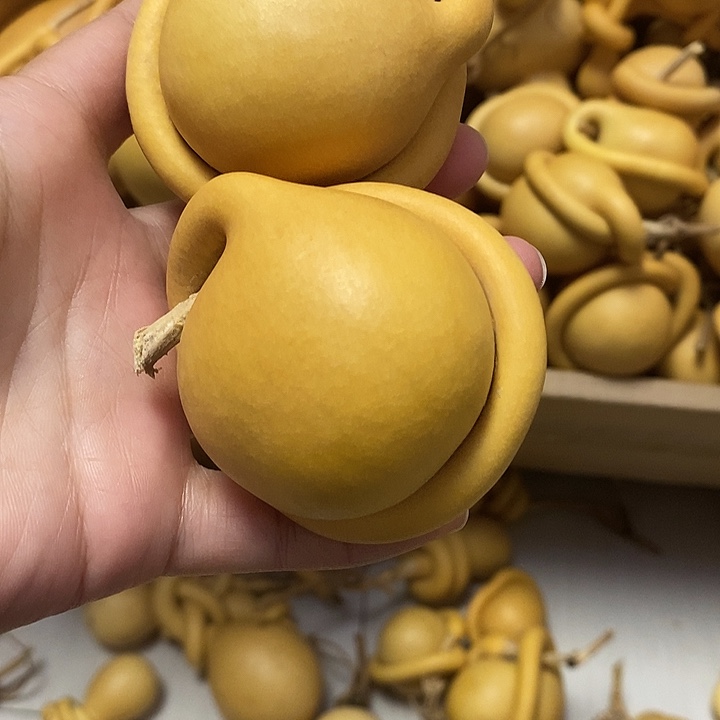 心***～一把葫芦便宜漏了