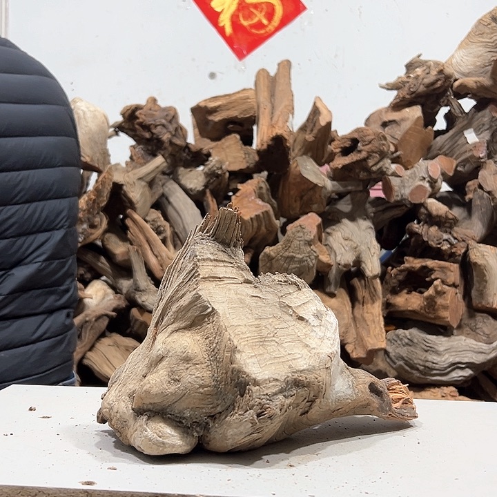柏木吴**辈我们的生活是以自己