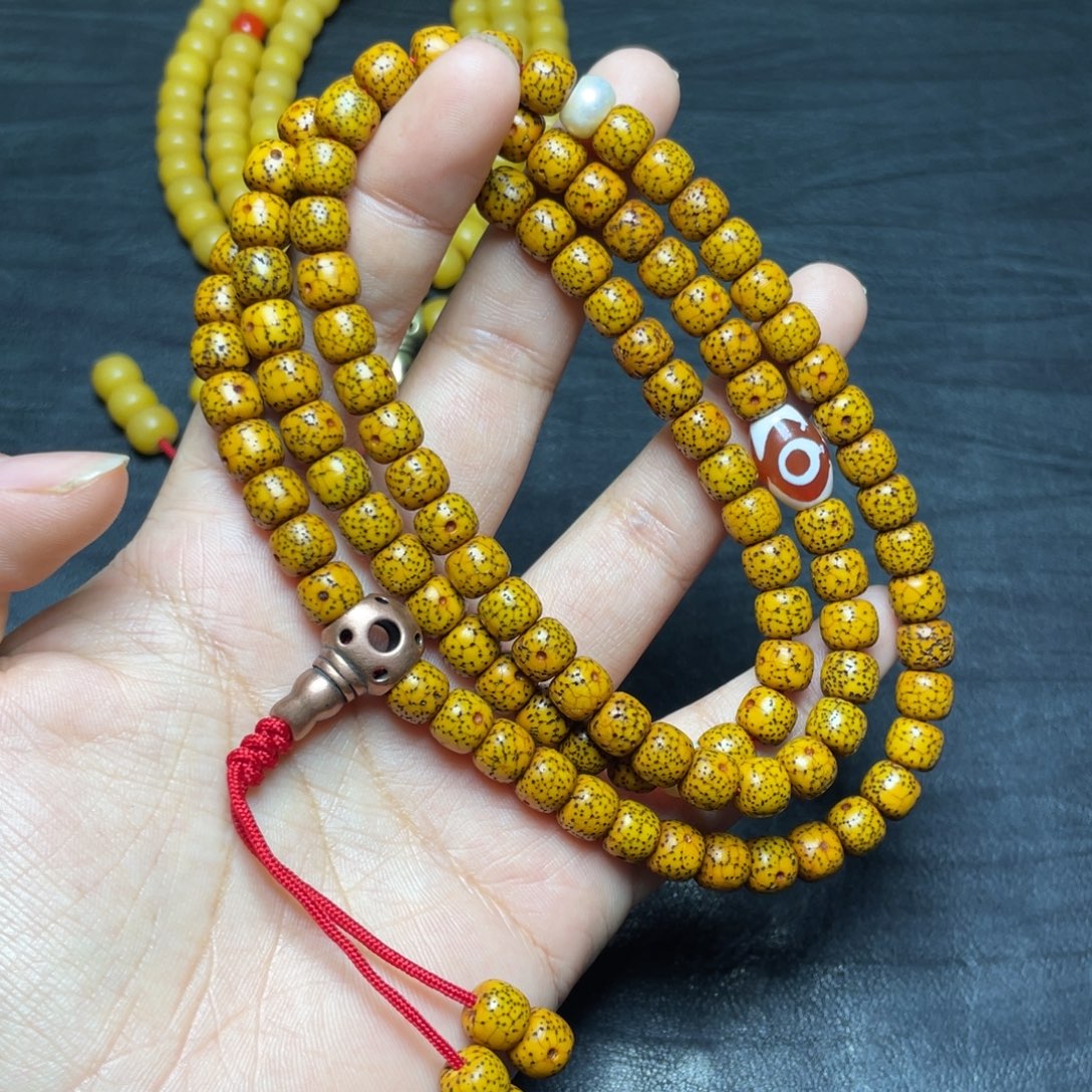 全***终星月菩提哈哈哈哈