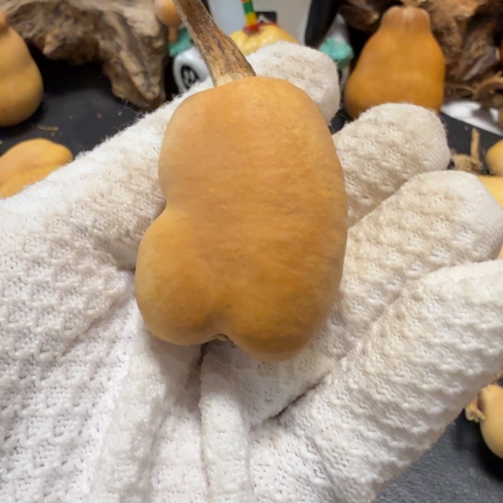 热***圆66667777778888899999