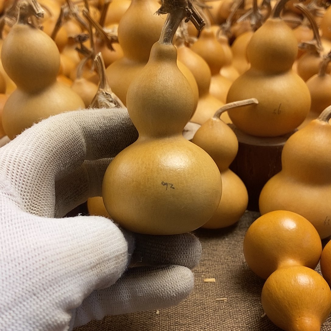 文玩葫芦 完美主义者 慎拍92