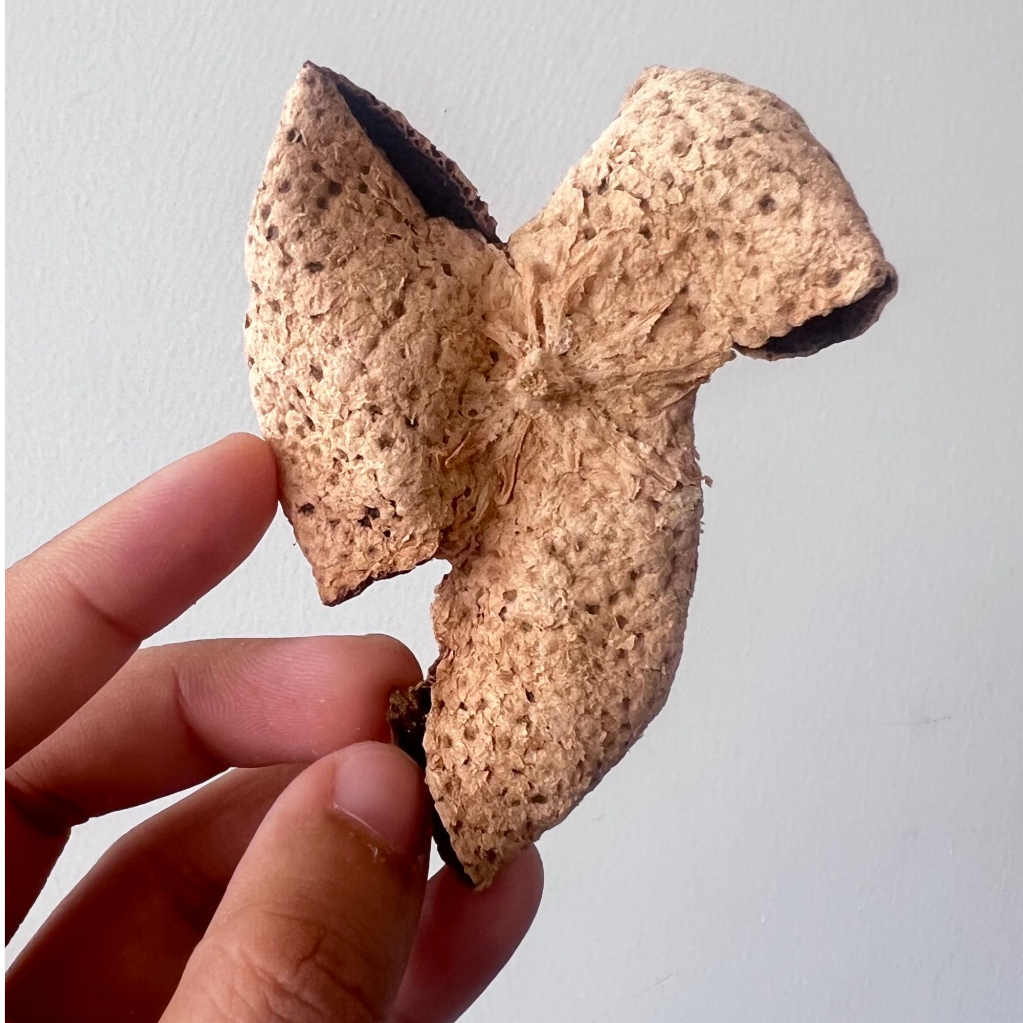 福利品试饮装两片整皮