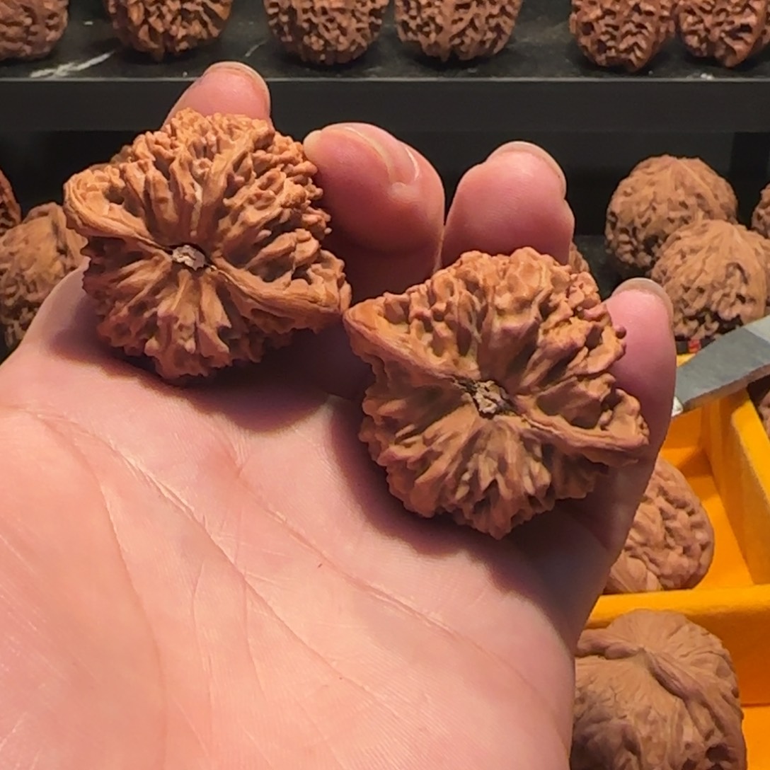 桃核把件满天星核桃41
