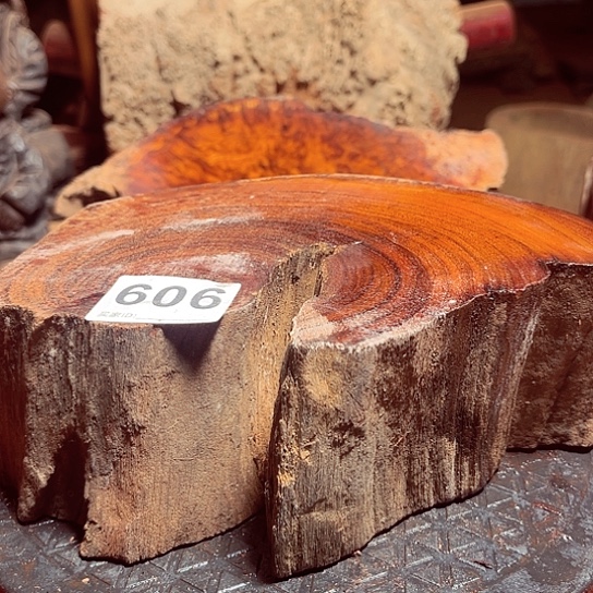 大果紫檀（缅甸花梨）