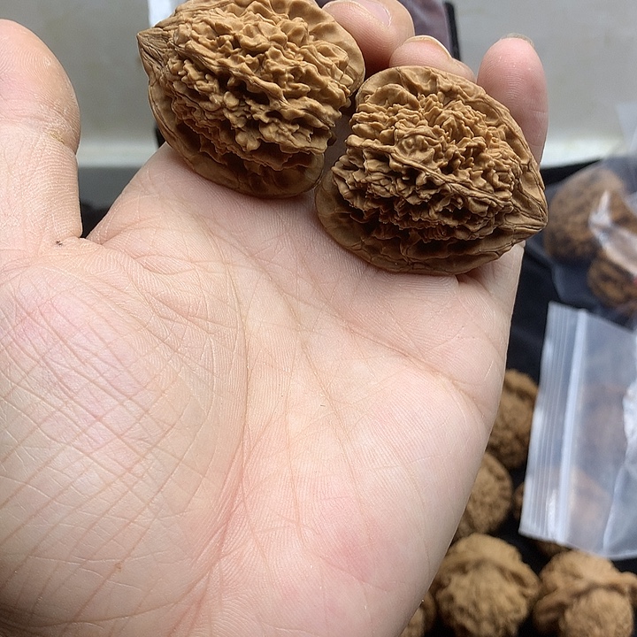 7***.文玩核桃吊坠满天星配对