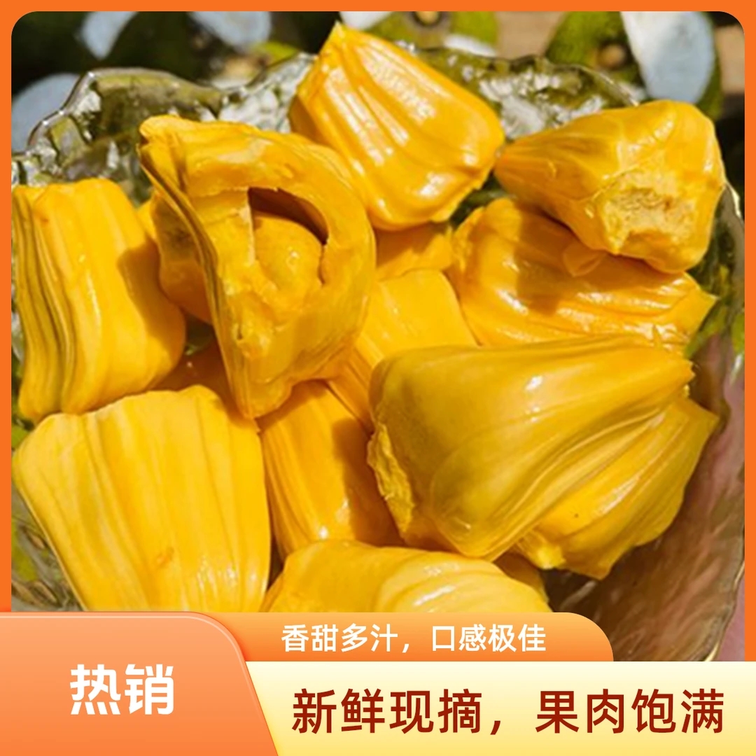 越南进口干苞黄肉菠萝蜜新鲜水果包熟包甜5斤起顺丰包邮越南