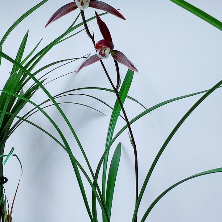 問***天完全开放一物一拍