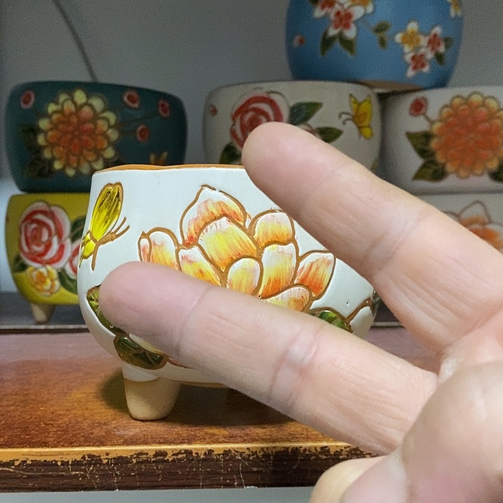 柯****?韩式多肉植物花盆