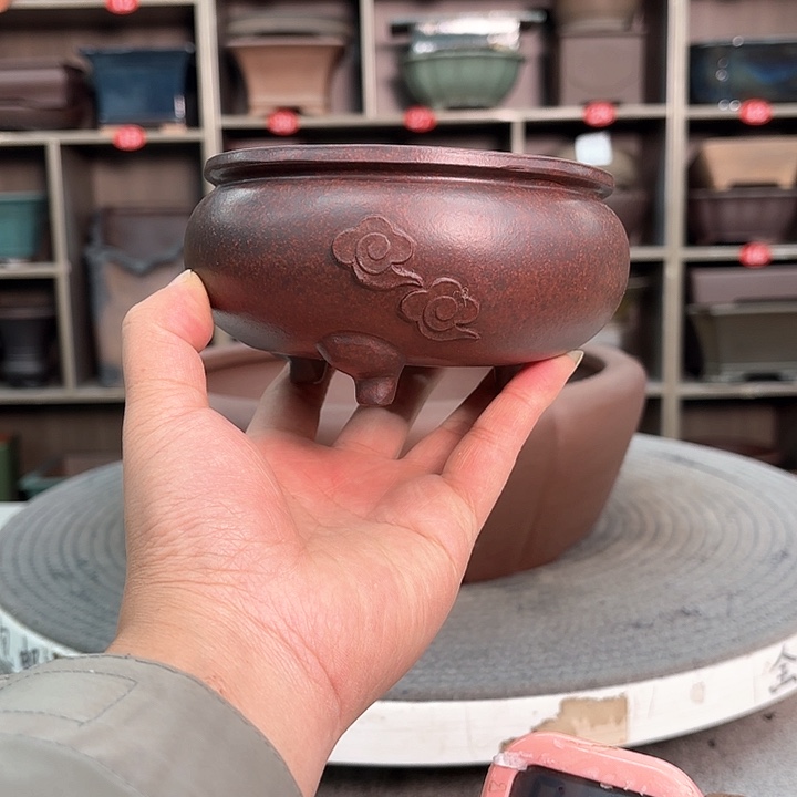 紫砂花盆紫砂的花也太美