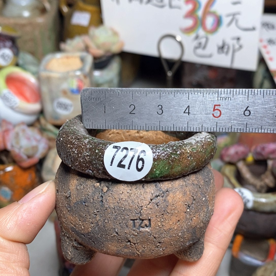 花盆拍3送一个小礼物